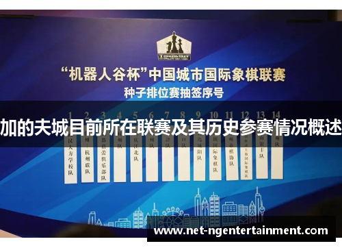 加的夫城目前所在联赛及其历史参赛情况概述